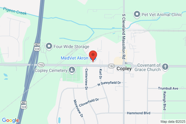 MedVet Akron