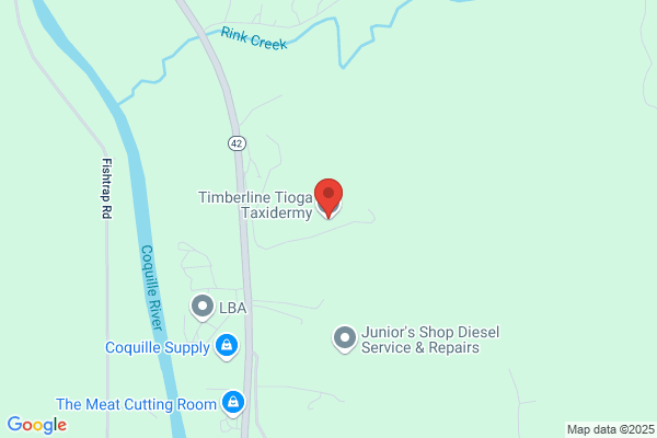 Timberline Taxidermy