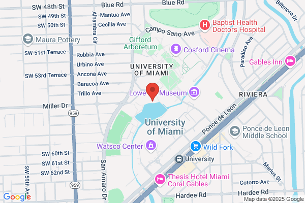 University of Miami, Student Government