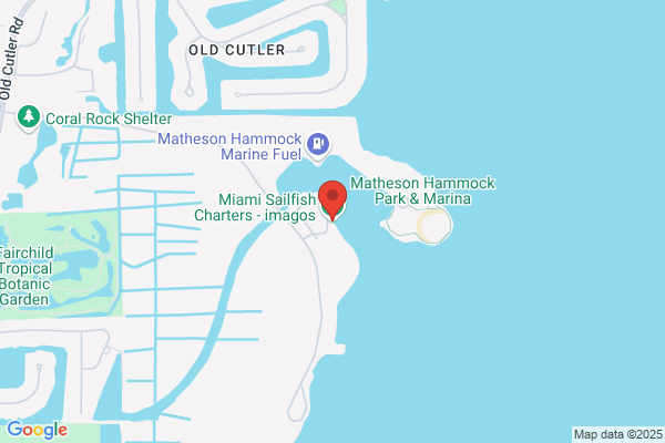 Miami International Charters Llc