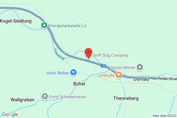 Sniffing Dog Productions