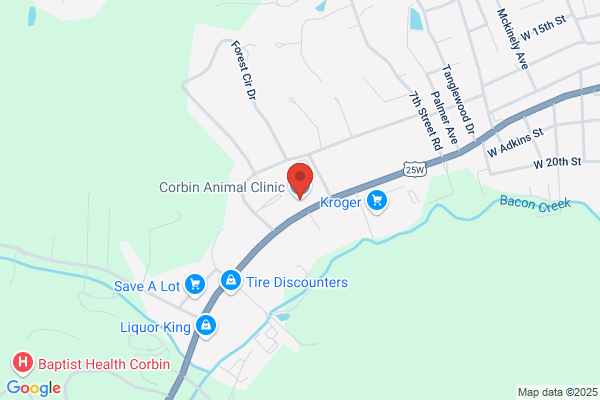 Corbin Animal Hospital