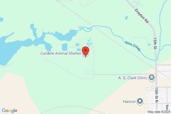 Cordele Animal Shelter
