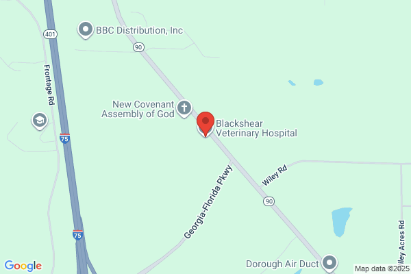 Blackshear Veterinary Hospital