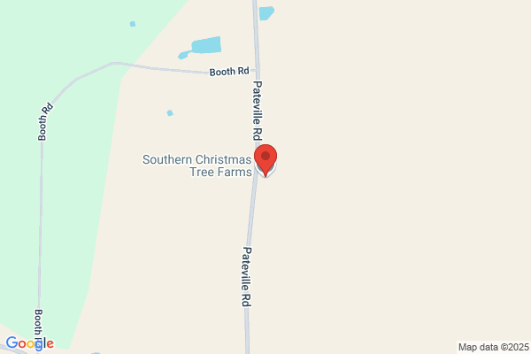 Southern Christmas Tree Plantation & Nursery