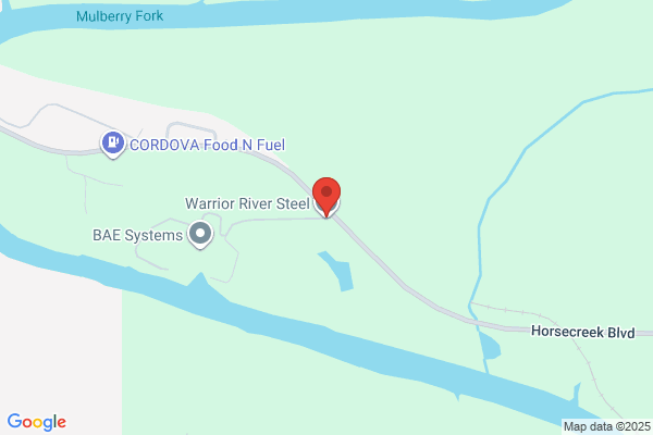 Warrior River Steel Llc