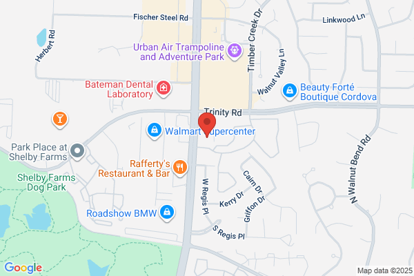 AutoZone Auto Parts