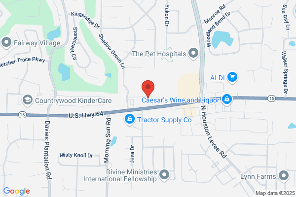AutoZone Auto Parts