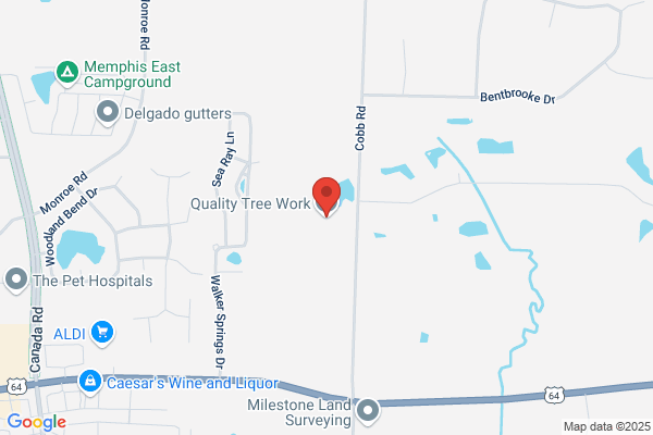 Quality Tree Work
