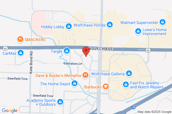 Hollywood Video