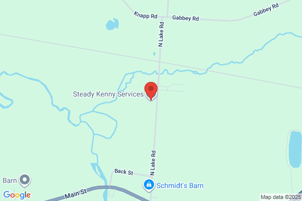 Steady Kenny Services