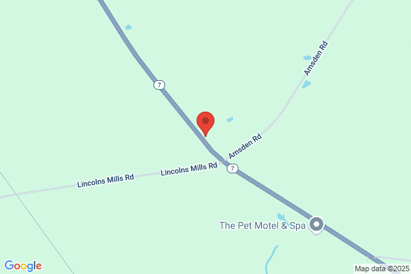 Lew's Gun Shop