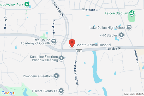 Corinth Animal Hospital