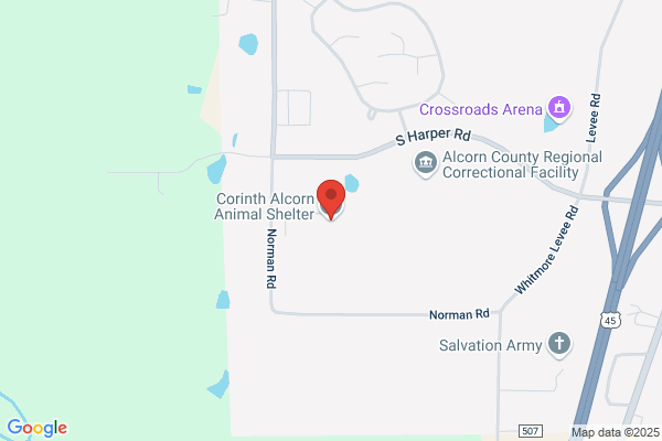 Corinth Alcorn County Humane Society