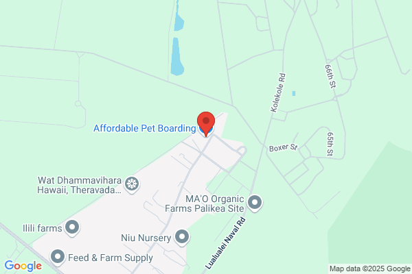 Affordable Pet Boarding Inn - cageless loving care plus FREE Pet Taxi transport