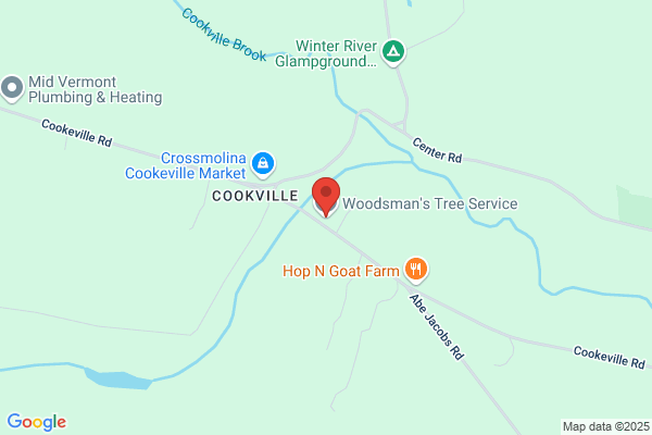Woodsman's Tree Service LLC