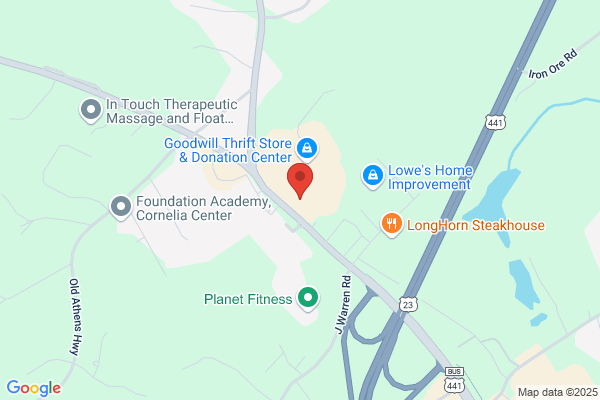Advance Auto Parts