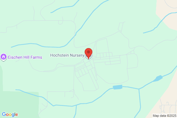 Hochstein Nursery