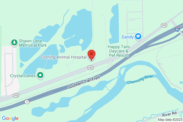 Corning Animal Hospital