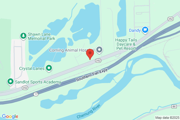 Professional Career Services