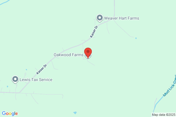 Oakwood Thoroughbred Farms