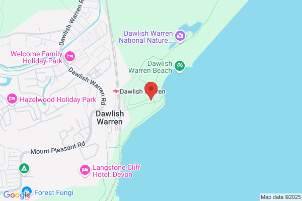 Warren Trading Co