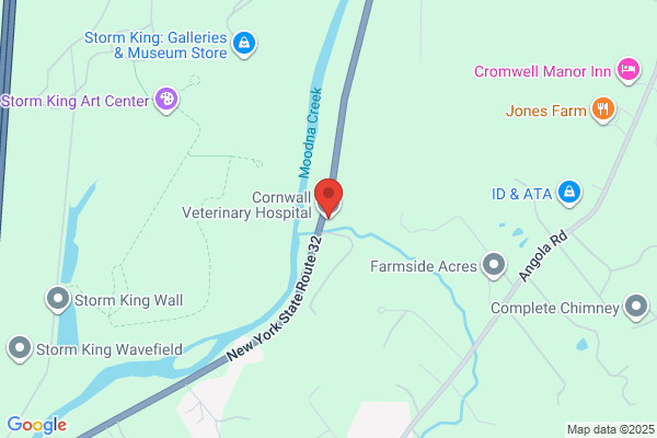 Cornwall Veterinary Hospital, Vet