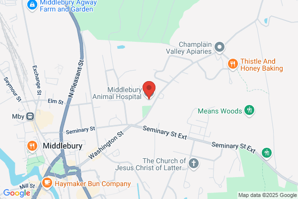 Middlebury Animal Hospital