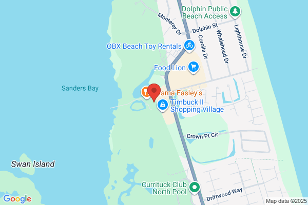 Dolphin Watch Gallery
