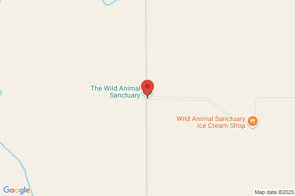 Wild Things Animal Rehabilitation Center