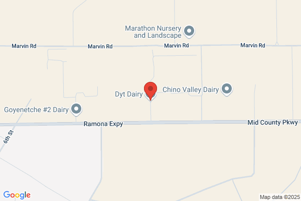 Dyt Dairy