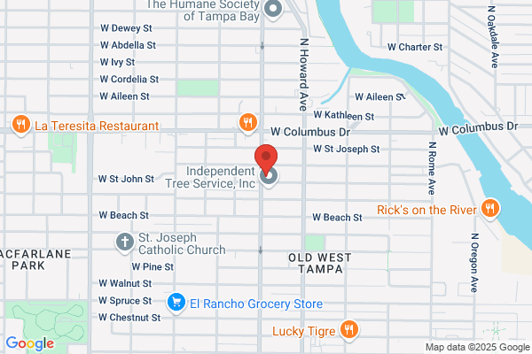 Alfonfo Auto Repair
