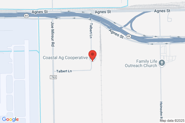 Corpus Christi Grain Co
