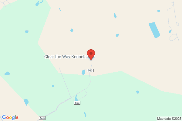 Clear the Way Kennel