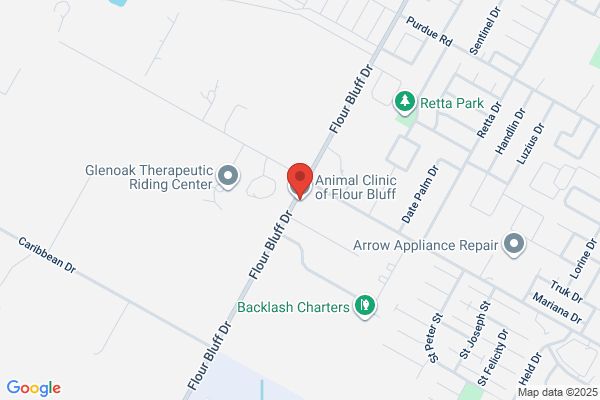 Flour Bluff Animal Hospital