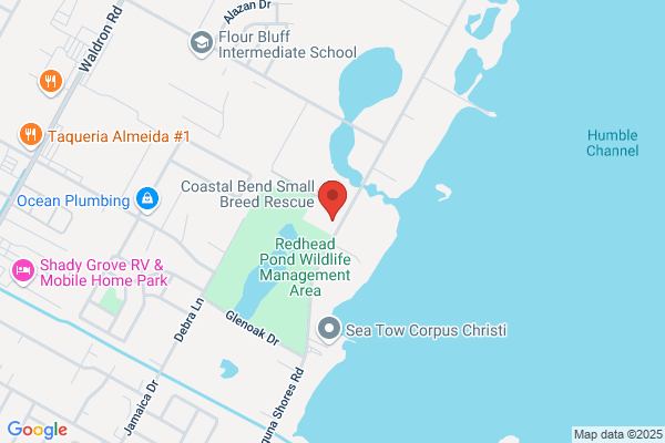 Laguna Shores Pet Salon