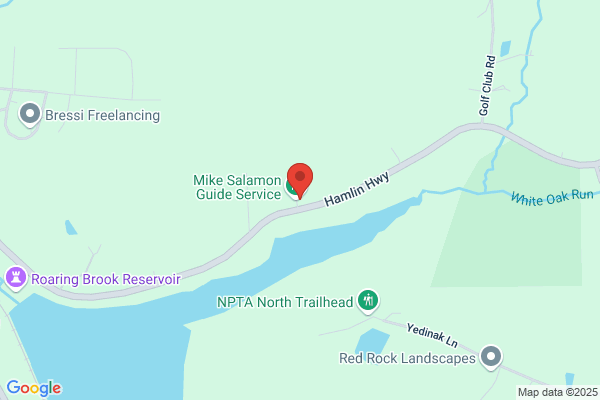 Walston's Mike Guide Service