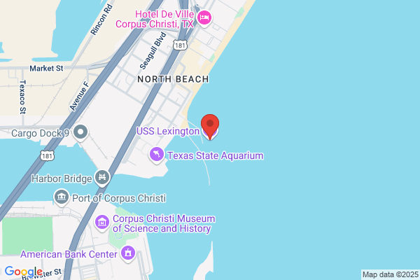 Blue Ghost Landing the