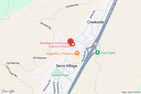 Steinbeck Country Equine Clinic