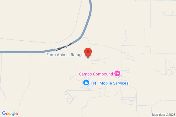 Farm Animal Refuge & Mindfulness