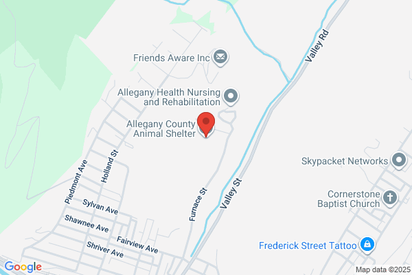 Allegany County Animal Shelter