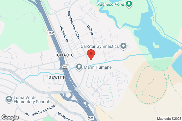 Stamm Patricia J MD