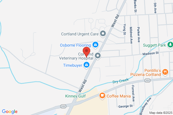 Guthrie Cortland General Surgery