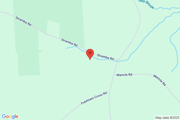 Cortland County of, Motor Vehicle
