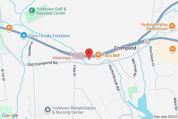 Taconic Veterinary Center