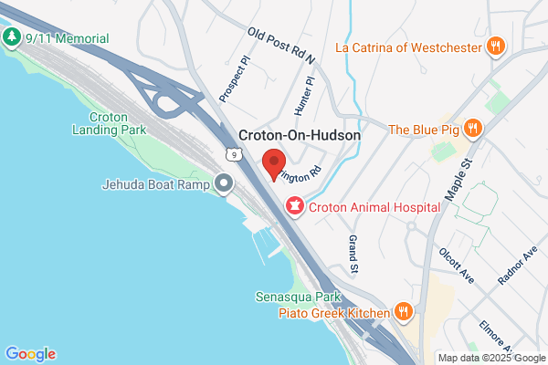Hudson River Taxi Inc