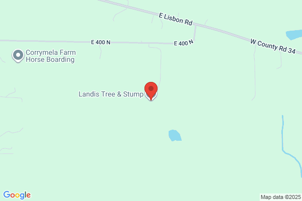 Landis Tree & Stump