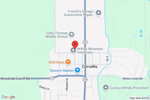 Corvallis Schools, High School