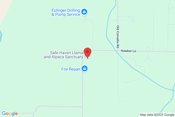 Star Sapphire Llama Ranch