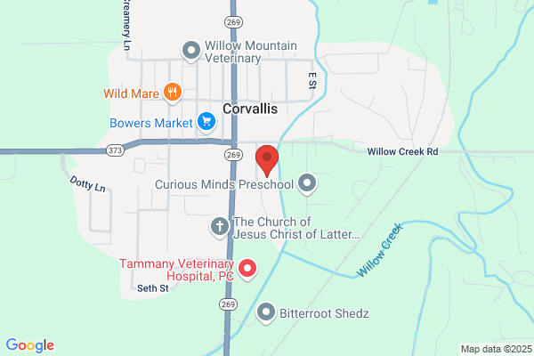 Willow Creek Physical Therapy